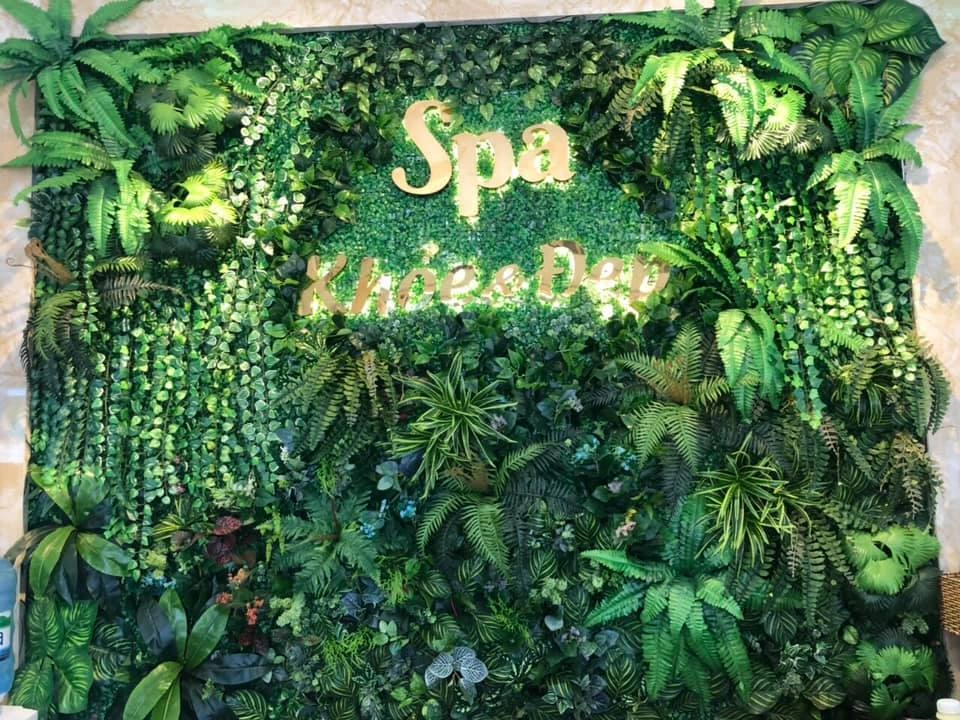 Khỏe Và Đẹp Spa